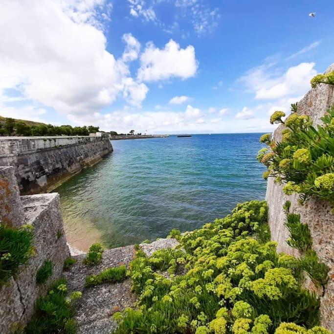 Delicieux Moment De Detente Au Coeur De Saint Martin De Re Dış mekan fotoğraf